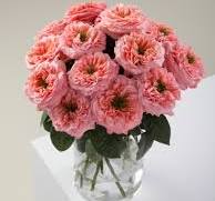 Envio y venta de flores ,rosas, plantas,arreglos florales ,regalos y desayunos a domicilio con delivery gratis en la Ciudad Autonoma de Buenos Aires y con costo de envo en localidades del Gran Buenos Aires asi como delivery de flores y plantas a travs de florerias asociadas en todas las provincias de la Argentina, Buenos Aires, la Pampa, Tucuman, La Rioja, Ro Negro, Entre Rios, Corrientes, Misiones, Neuquen, Chubut, Tierra del Fuego, Santa Cruz, San Luis, Mendoza, Cordoba, Jujuy, Formosa, Santiago del Estero, Salta, Chaco, Catamarca ,San Juan, y ademas realizamos el delivery de flores ,coronas,palmas , plantas y regalos a todas las ciudades de Argentina, Mar del Plata, Crdoba, Buenos Aires, con cargo en Santa Rosa, La Plata, Bella Vista, Neuquen, Pilar, Paran, Posadas, Resistencia, Cipolleti y mas de 300 ciudades y localidades en todo el territorio de nuestro pas, asi como tambien tenemos la posibilidad de enviar flores a casi todo el mundo en cuestion de horas